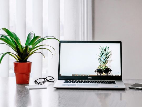 Jak znaleźć skutecznego freelancera SEO, który realnie wesprze rozwój biznesu